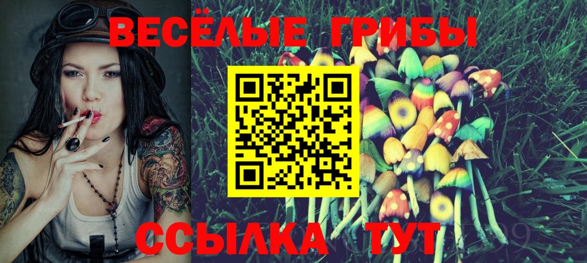 Псилоцибиновые грибы GOLDEN TEACHER Ноябрьск