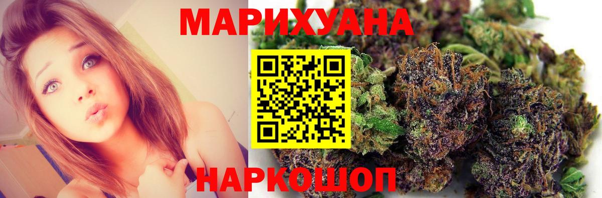 Канабис планчик Ноябрьск